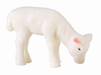 COLL88393 - Agneau paissant