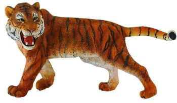 COLL88410 - Tigre