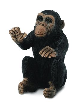 COLL88494 - Bébé Chimpanzée câlinant