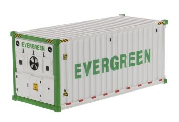 DCM91026A - Container 20 Pieds Blanc EVERGREEN