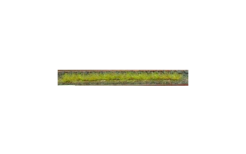 HEK1810 - Lot de 10 bandes d'herbes de printemps 10 cm