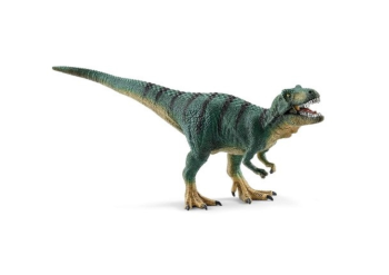 SHL15007 - Jeune tyrannosaure Rex