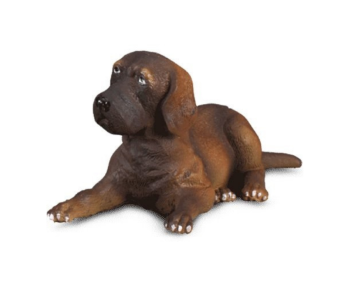 COLL88065 - Chiot Dogue allemand couché