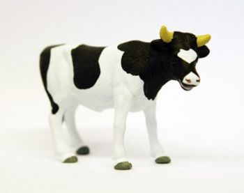 FGK571631 - Taureaux HOLSTEIN