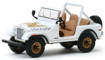 GREEN86572 - JEEP CJ-7 1979 Golden Eagle