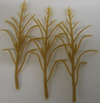 JUW23289 - 50 pieds de maïs grain jaune miniature hauteur 10 cm