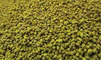 JUW23306 - Sachet maïs grain 200g