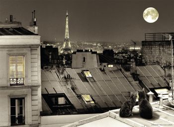 RAV87106 - Puzzle - 500 Pièces - Sur les toits de Paris - 49 x 36 cm