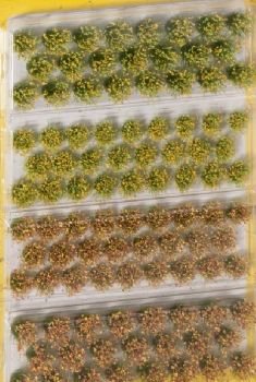 NOC07016 - Touffes d'herbes plantes des champs