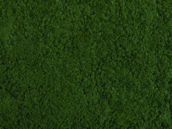 NOC07271 - Foliage, vert foncé 20 x 23 cm