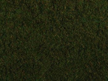 NOC07281 - Foliage  d'herbes sauvages, vert foncé 20 x 23 cm