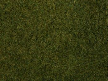NOC07282 - Foliage d'herbes sauvages, vert foncé 20 x 23 cm