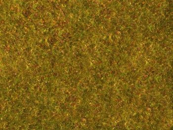 NOC07290 - Foliage de pré, jaune-vert 20 x 23 cm