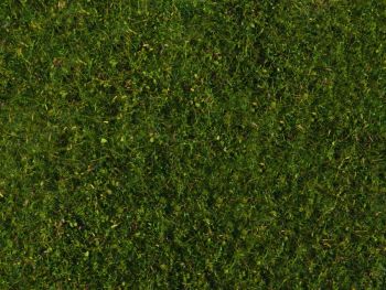 NOC07291 - Foliage de pré, vert moyen 20 x 23 cm