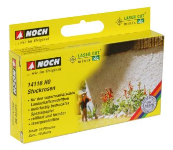 NOC14116 - Roses trémières