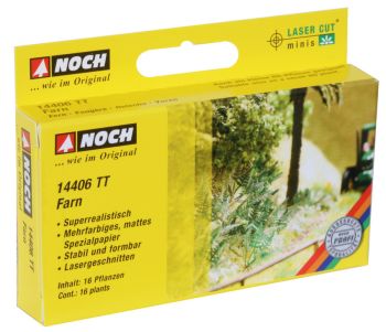 NOC14406 - Lot de 16 plants de fougères de 6mm