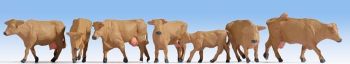 NOC15727 - Vaches , brunes