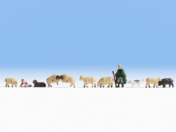 NOC15750 - Berger et moutons