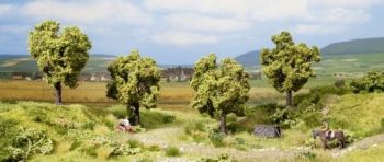 NOC21002 - 4 Pommiers avec fruits - 7.5 cm