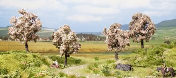 NOC21003 - 4 Arbres fruitier - 8 cm