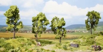 NOC21004 - 4 Poirier - 11.5 cm