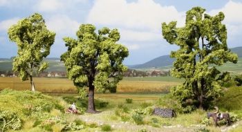 NOC21007 - Hêtre 13 cm, Acacia 15 cm et Bouleau 11.5 cm