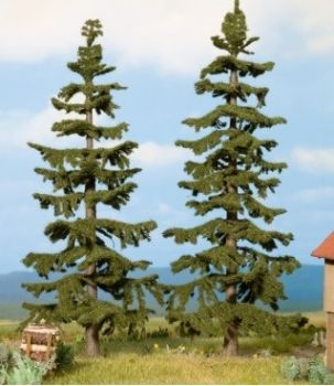 NOC21820 - 2 Sapins Nordman - 11 et 12.5 cm
