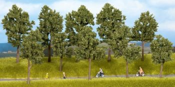 NOC24205 - Arbres d'été, 10 pièces, 10-14 cm