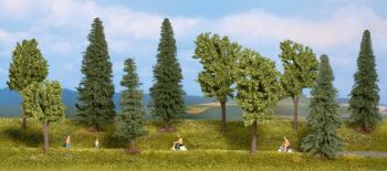 NOC24220 - Forêt mixte 10 arbres 10 à 14 cm