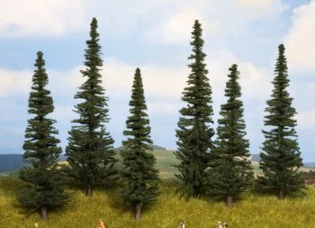 NOC24255 - Sapins 6 pièces 16 à 20 cm