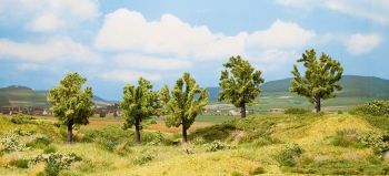 NOC25002 - 5 Pommier avec fruit , 8 cm