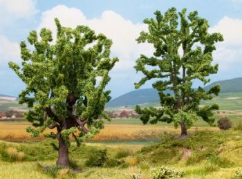 NOC25006 - Chêne 15 cm et Acacia 15 cm