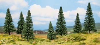 NOC25007 - 7 Sapins - 8 à 15 cm