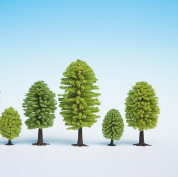 NOC26902 - Lot de 5 arbres feuillus de hauteurs 5 à 9 cm