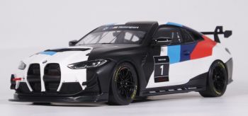 OT1228 - BMW M4 GT4 Présentation 2022
