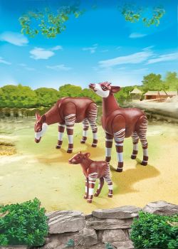 PLAY6643 - Famille d'Okapi