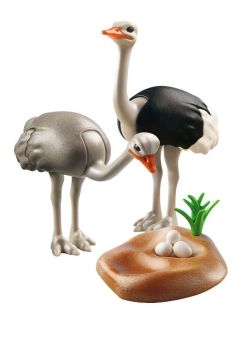 PLAY6646 - Autruches - 6 Pièces