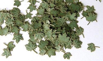 PLS253 - Feuilles d'érables vertes miniatures de 4mm pour diorama