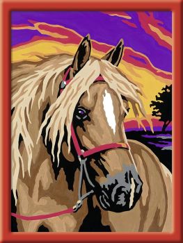 RAV28040 - Numéro d'art - Bel Haflinger au coucher du soleil - 13 x 18 cm