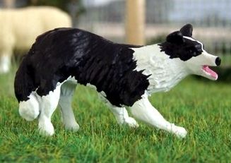 WMA14 - Border Collie en position d'attaque - En Miniature