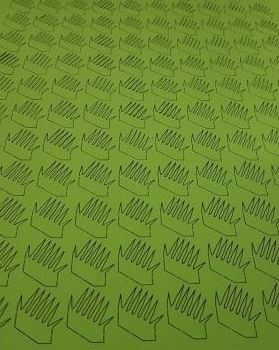 120 pieds de maïs - Papier à rouler