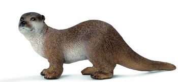 SHL14694 - Loutre