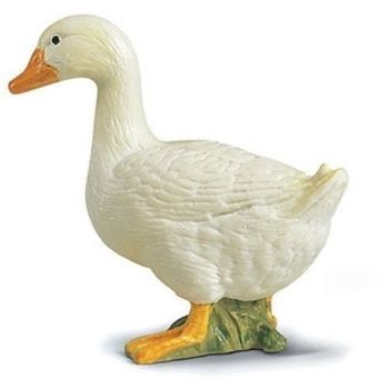 SHL13130 - Canard blanc