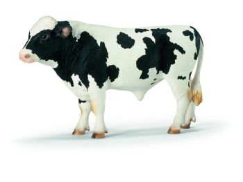 SHL13632 - Taureau Holstein