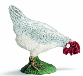 SHL13647 - Poule Qui Picore