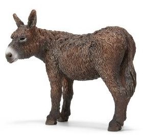 SHL13661 - Baudet du Poitou