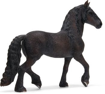 SHL13667 - Étalon Frison