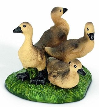 SHL13680 - Oisons Cendrés