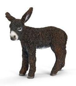 SHL13686 - Anon du Poitou