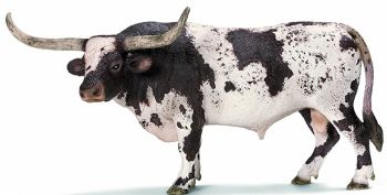SHL13721 - Taureau Texas Longhorn